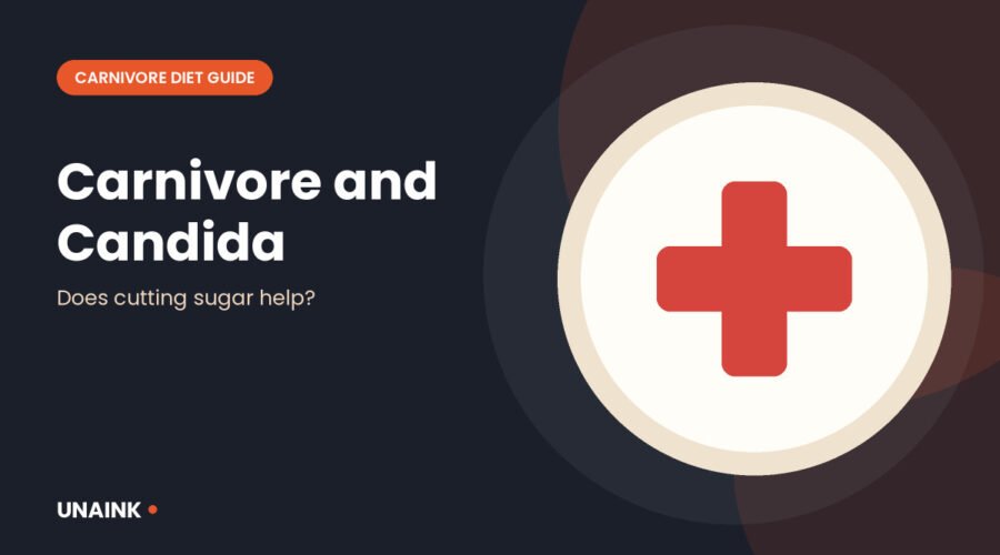 Medical cross illustration for the carnivore diet for candida