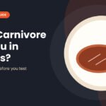 Carnivore diet ketosis illustration with a steak and a flame symbol on a plate