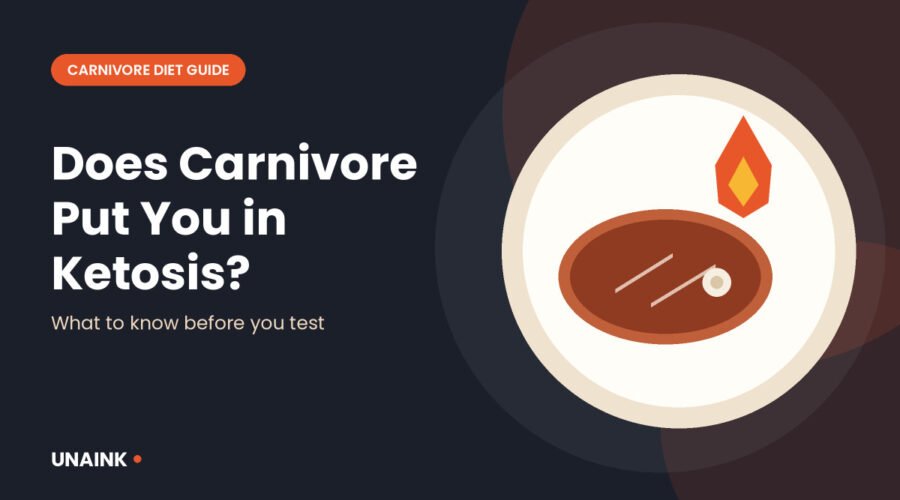 Carnivore diet ketosis illustration with a steak and a flame symbol on a plate