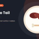 Nose to tail eating illustration with liver, heart and a bone on a plate